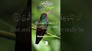 Surah Waqiah Best Recitation 🥰  P6  surahalwaqiah surahalwaqia waqia quranrecitation [upl. by Breed]