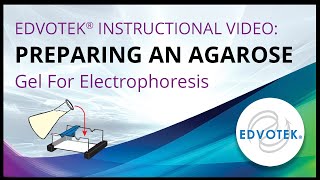 Preparing an Agarose Gel For Electrophoresis  Edvotek Video Tutorial [upl. by Aienahs]