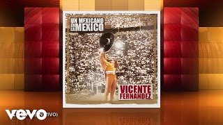 Vicente Fernández  Ella Cover Audio [upl. by Ecnadnak217]