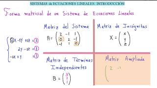 ÁLGEBRA LINEAL SISTEMAS de ECUACIONES LINEALES INTRODUCCIÓN 👍 ENTRA y MIRA este GENIAL VIDEO [upl. by Shirline]