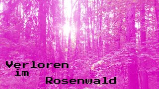 Verloren im Rosenwald Musikvideo Keller synth EPILEPSY WARNING [upl. by Htedirem]