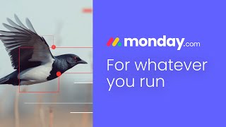 Manage anything track progress and collaborate effortlessly with mondaycom [upl. by Akeimat]