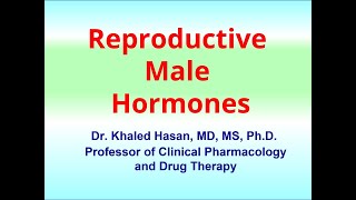 Reproductive Male Hormones  Androgens  Clinical Pharmacology [upl. by Jehanna242]