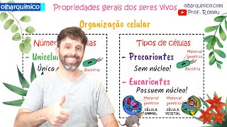 VIDA E CARACTERÍSTICAS GERAIS DOS SERES VIVOS PROVA VESTIBULAR ENEM  OLHAR QUÍMICO PROF ROMEU [upl. by Wagner]