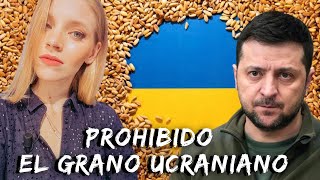 HUNGRÍA Y POLONIA PROHIBEN EL GRANO UCRANIANO Se suman Eslovaquia y Bulgaria ¿Qué ha pasado [upl. by Angil]