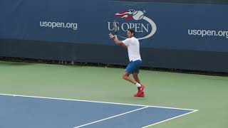 Juan Martín Del Potro FOREHAND in Slow Motion BACK and FRONT view [upl. by Burgener]