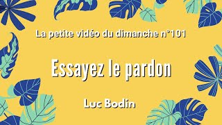 ESSAYEZ LE PARDON  La petite vidéo du dimanche n°101 [upl. by Skerl333]