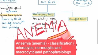 Anaemia anemia  classification microcytic normocytic and macrocytic and pathophysiology [upl. by Ainot]