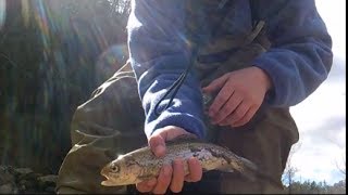 Wilson Creek Spring Fly Fishing North Carolina [upl. by Reldnahc362]