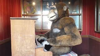 Singing Sam the Gorilla Man Playing Piano in the Yard at Wall Drug in Wall SD  Vintage Animatronic [upl. by Nelle664]