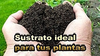 Como preparar un buen sustrato para plantas  Como preparar la tierra [upl. by Aloysius]