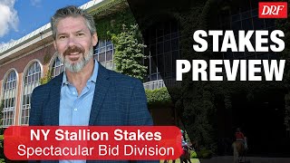 NY Stallion Stakes Spectacular Bid Division Preview 2023 [upl. by Nerrag]