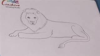 How To Learn To Draw A Lion [upl. by Ahtiek]