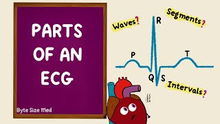 Parts of an ECG  EKG Basics  Waves Segments Intervals  Cardiac Physiology [upl. by Dobbins646]