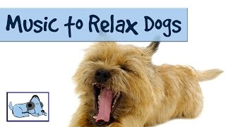 MUSIC TO RELAX DOGS  TRY IT ON YOUR DOG AND WATCH RelaxMyDog 🐶 RMD01 [upl. by Ahsart]