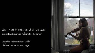 Schmelzer  Sonatae Unarum Fidium III  G minor live [upl. by Fesuoy]