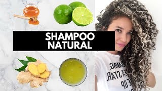 Shampoo Natural Casero 4 ingredientes [upl. by Fleur]