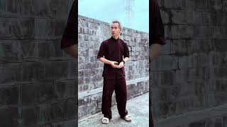 Out trình beneagle training kungfu martialarts fighting shaolin silat wushu taekwondo [upl. by Rednav196]