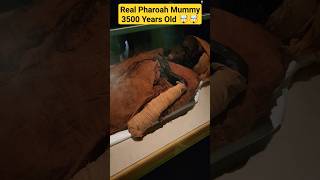 Real Mummy of PharoahFiraunFiron [upl. by Aisauqal]