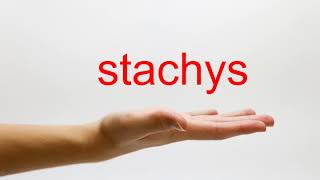 How to Pronounce stachys  American English [upl. by Nohsyt]