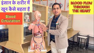 Full VideoHeart amp Blood Circulation  शरीर में खून कैसे कहाँ बहता है  Blood Flow Through The Heart [upl. by Hairakcaz192]