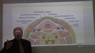 Endocrine module 3  thyroid gland  part 3   by Dr Wahdan [upl. by Salomi]