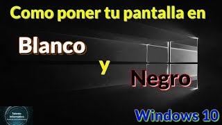 Como poner tu PANTALLA BLANCO Y NEGRO EN WINDOWS 10  Personalizar Windows 10 ⚪⚫ [upl. by Senecal427]