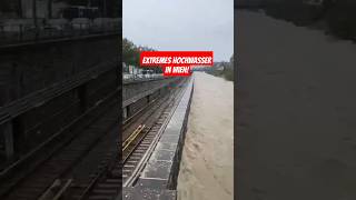 Extremes Hochwasser in Wien am 15092024 heavyrain hochwasser vienna viralvideo trending [upl. by Nirret]