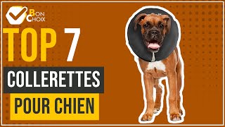 Collerettes pour chien  Top 7  BonChoix [upl. by Celinda]