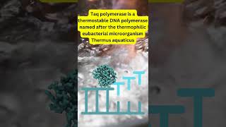 Polymerase Chain Reaction  PCR DNAAmplification TaqPolymerase GeneResearch MedicalDiagnostics [upl. by Ellenaj]