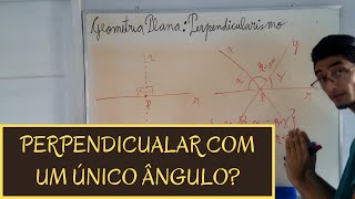 Por que o sobre uma reta perpendicular existe apenas um único ângulo [upl. by Neelyad]