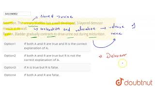 Assertion The urinary bladder has a well developed 3layered detrusor muscle in its wall Reas [upl. by Eardna731]
