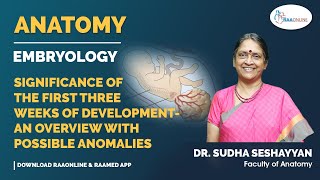 Anatomy  Significance of the First Three Weeks of Development  An Overview with Possible Anomalies [upl. by Pietje465]