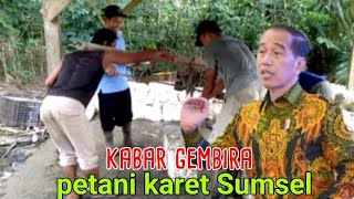 Harga getah karet hari ini [upl. by Akkeber]