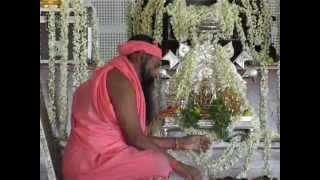 Sri Ganapathy Sachchidananda Swamiji UnveiledSri Swamiji Life Story [upl. by Yam]