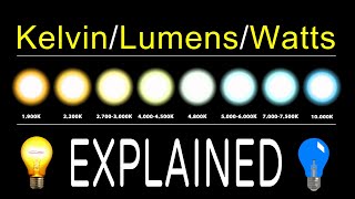 How To Chose LED Bulbs  Kelvin Lumens amp Watts EXPLAINED [upl. by Malka]