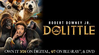 Dolittle  Trailer  Own it on Digital Bluray amp DVD [upl. by Annaierb]