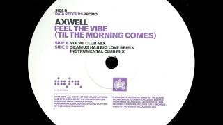 Axwell  Feel The Vibe Seamus Haji Big Love Remix [upl. by Fronnia]