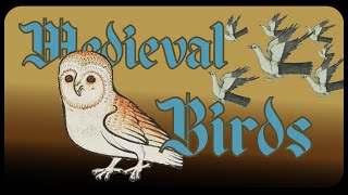 The Medieval Bird  The Bestiary [upl. by Yhtorod]