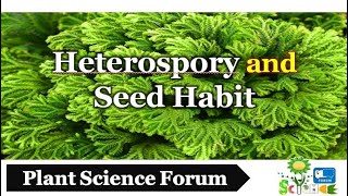 Heterospory and Seed Habit  Plant Science Forum [upl. by Woodsum]