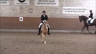 Sophie 16 und Duebaree  ADressur in Montabaur am 30042016 [upl. by Onid]