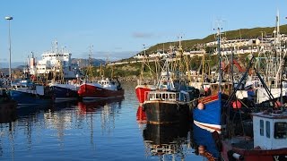 Seagull Mallaig  Scotland [upl. by Fisoi]