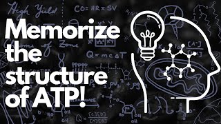 Allosteric enzyme [upl. by Soisatsana776]