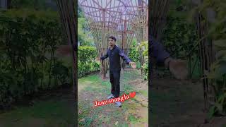 Jaan maagla😘 love vairalvideo ytstuduo saptarishivnathvlogs bhojpuri trendingshorts song [upl. by Anniala]