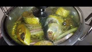 জাতীয় রেসিপি  শাপলা ইলিশ রেসিপি  Hilsa fish recipe [upl. by Stillman782]