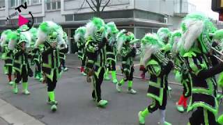 Rosenmontagsumzug 2019 in Böblingen [upl. by Melantha647]