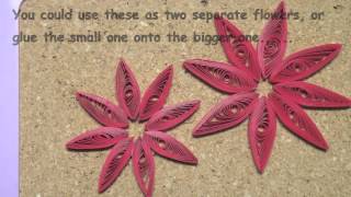 Megs Quilled Christmas Poinsettia 1m4v [upl. by Nedmac212]