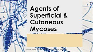 Basic Medical Mycology 02  SUPERFICIAL amp CUTANEOUS MYCOSES Mahon 7th ed [upl. by Nnaes]