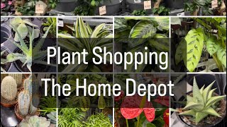 Plant Shopping  The Home Depot [upl. by Engracia359]