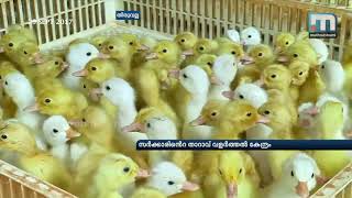 Niranam duck farm run by state govt Mathrubhumi News [upl. by Repmek]